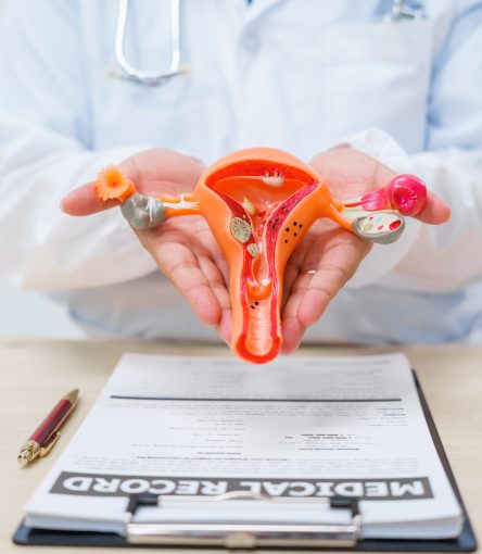 A doctor works at a desk, examining a uterus model to provide medical care and treatment