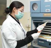 blood bank ffy